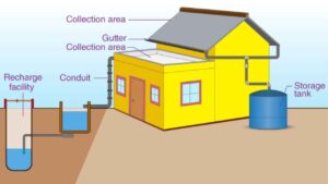 Rainwater Harvesting