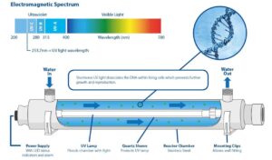 UV-C Light for Air and Water Purification